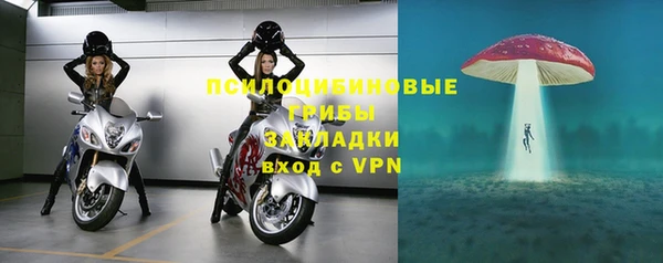 ГАЛЛЮЦИНОГЕННЫЕ ГРИБЫ Балабаново