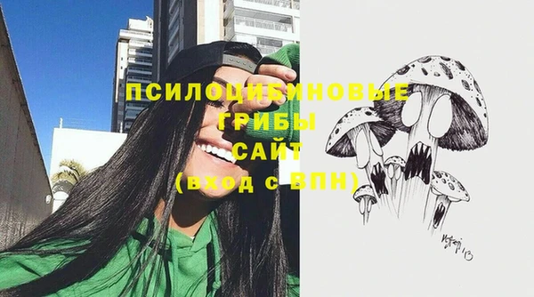 ГАЛЛЮЦИНОГЕННЫЕ ГРИБЫ Балабаново