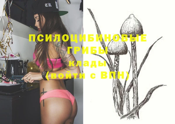 ГАЛЛЮЦИНОГЕННЫЕ ГРИБЫ Балабаново