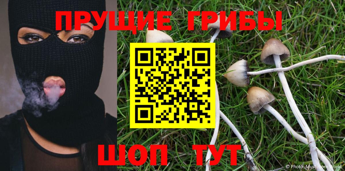Галлюциногенные грибы Psilocybe Бахчисарай