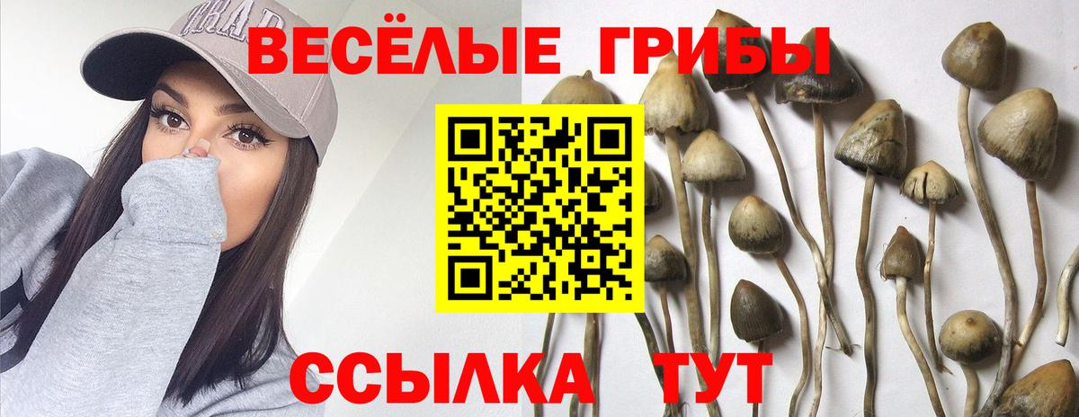 Бахчисарай  Галлюциногенные грибы Psilocybe  дарнет шоп  Вход с VPN 