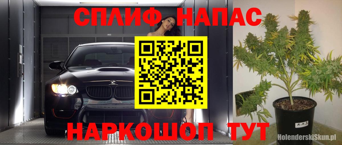 Бошки марихуана Amnesia  Бахчисарай  Бошки Шишки сатива  МАРИХУАНА сатива 